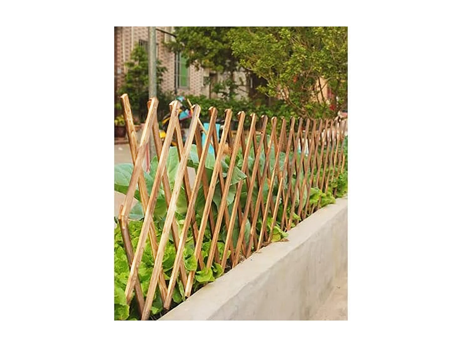 Lot de 24 clôtures treillis extensibles pour jardin, support pliable pour plantes grimpantes en bois - Longueur 180 x Largeur 30 cm