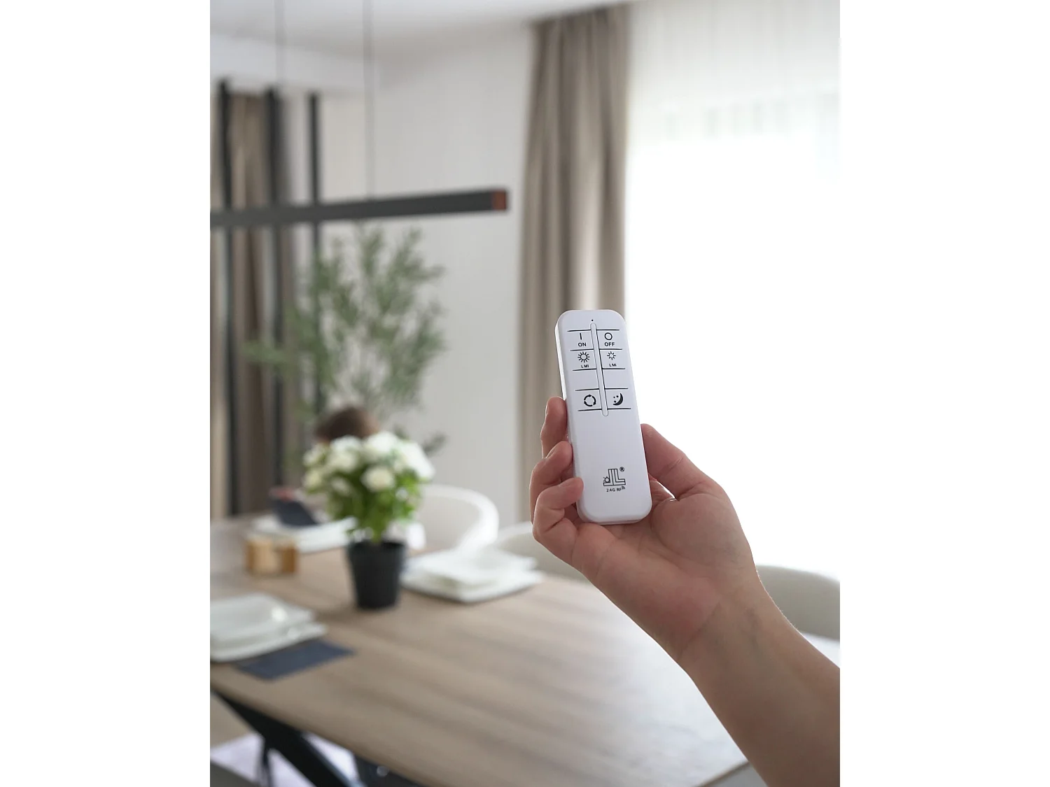 Lampe LED suspendue ARENAS Avec télécommande Noir