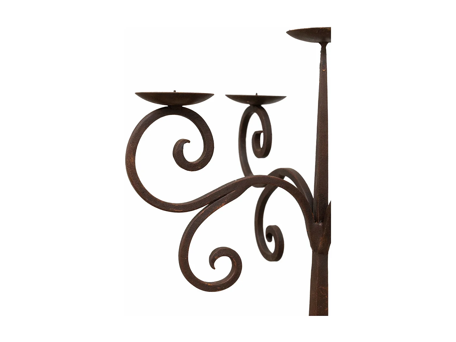 BISCOTTINI - Lutrin en fer - Finition fer antique - Parfait comme support - Porte-livre vintage - Support sur pied - Structure en métal - Mobilier - 48x28x152 cm