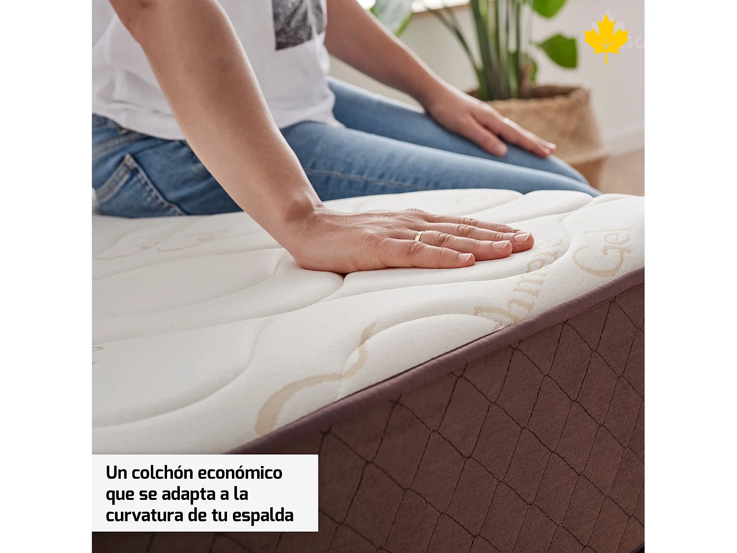 Pack Colchón + Almohada Viscoelastica + Somier Descansin | 90x180 | Ideal para Personas con Dolores de Espalda | Efecto nube | Silencioso