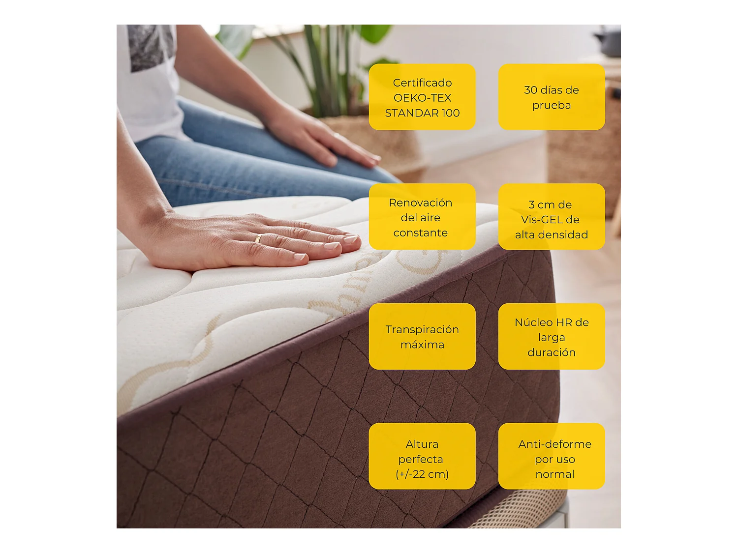 Colchon 180 x 190, Viscoelástico Alta Firmerza Descansin, Ideal para Personas con Dolores de Espalda, Premium, Tejido Transpirable y Antiacaros