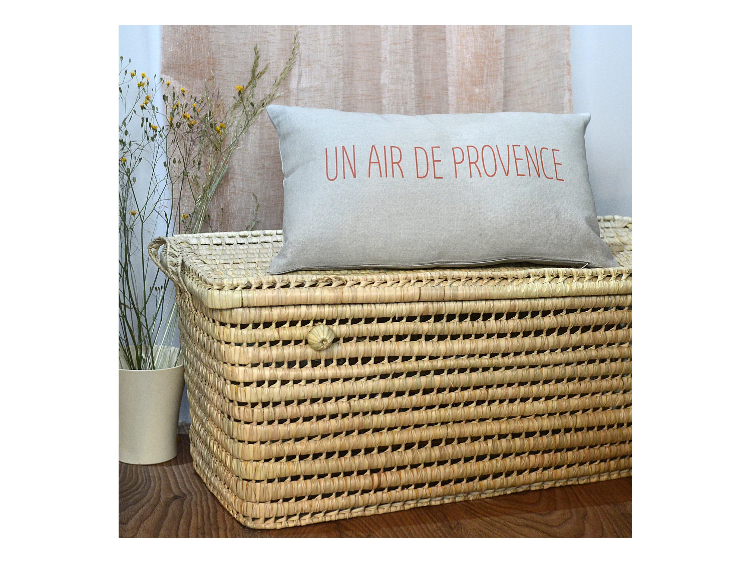 Coussin imprimé "air de Provence"