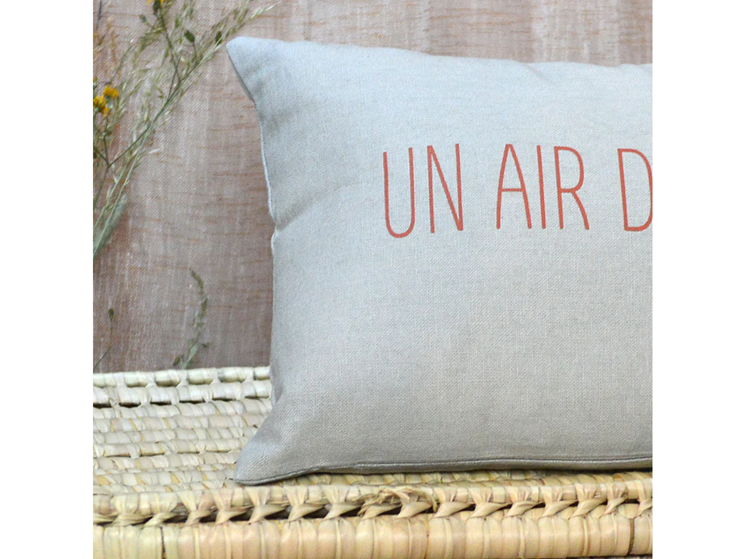 Cojín estampado "aire de Provenza"