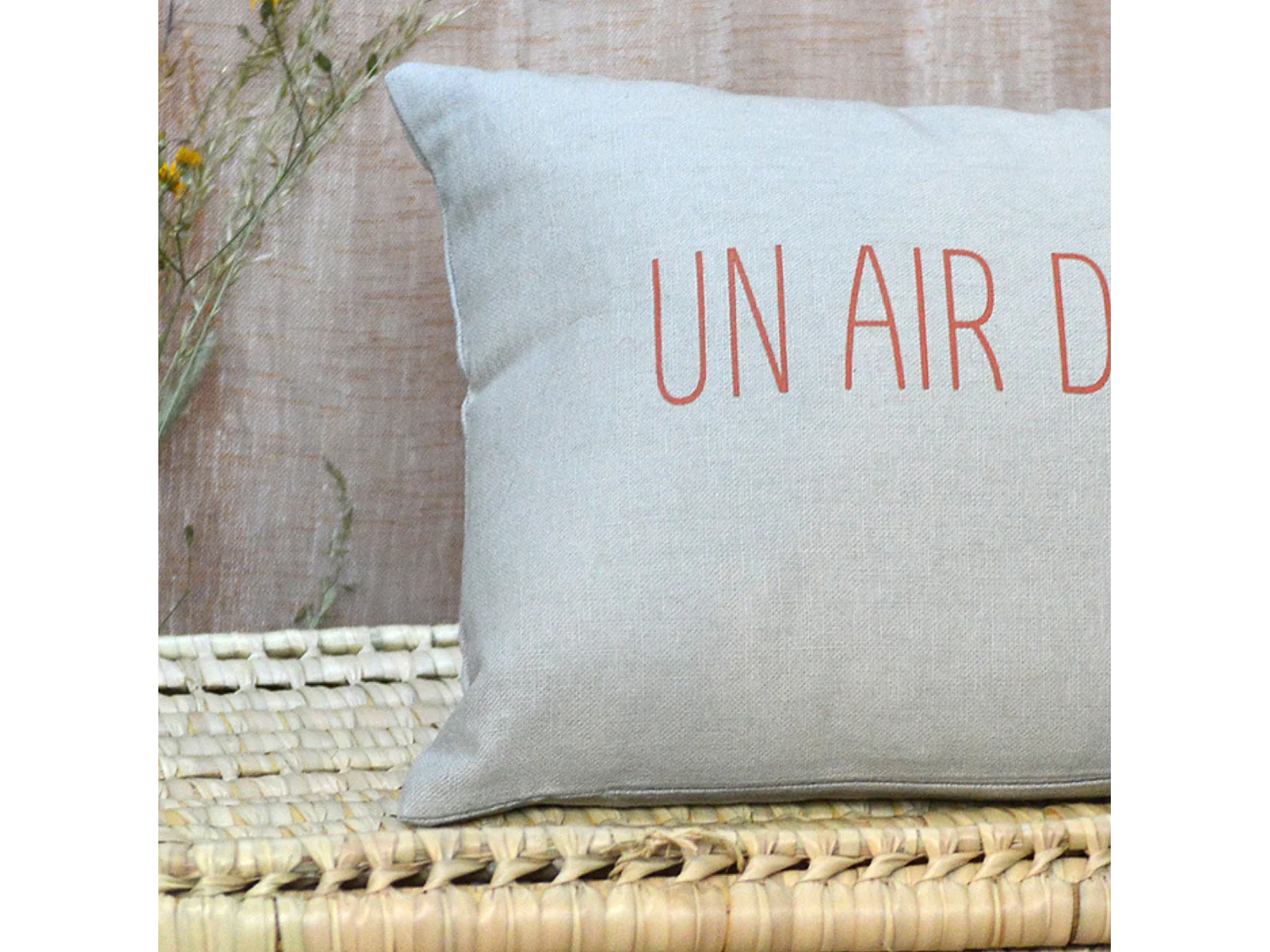 Cojín estampado "aire de Provenza"