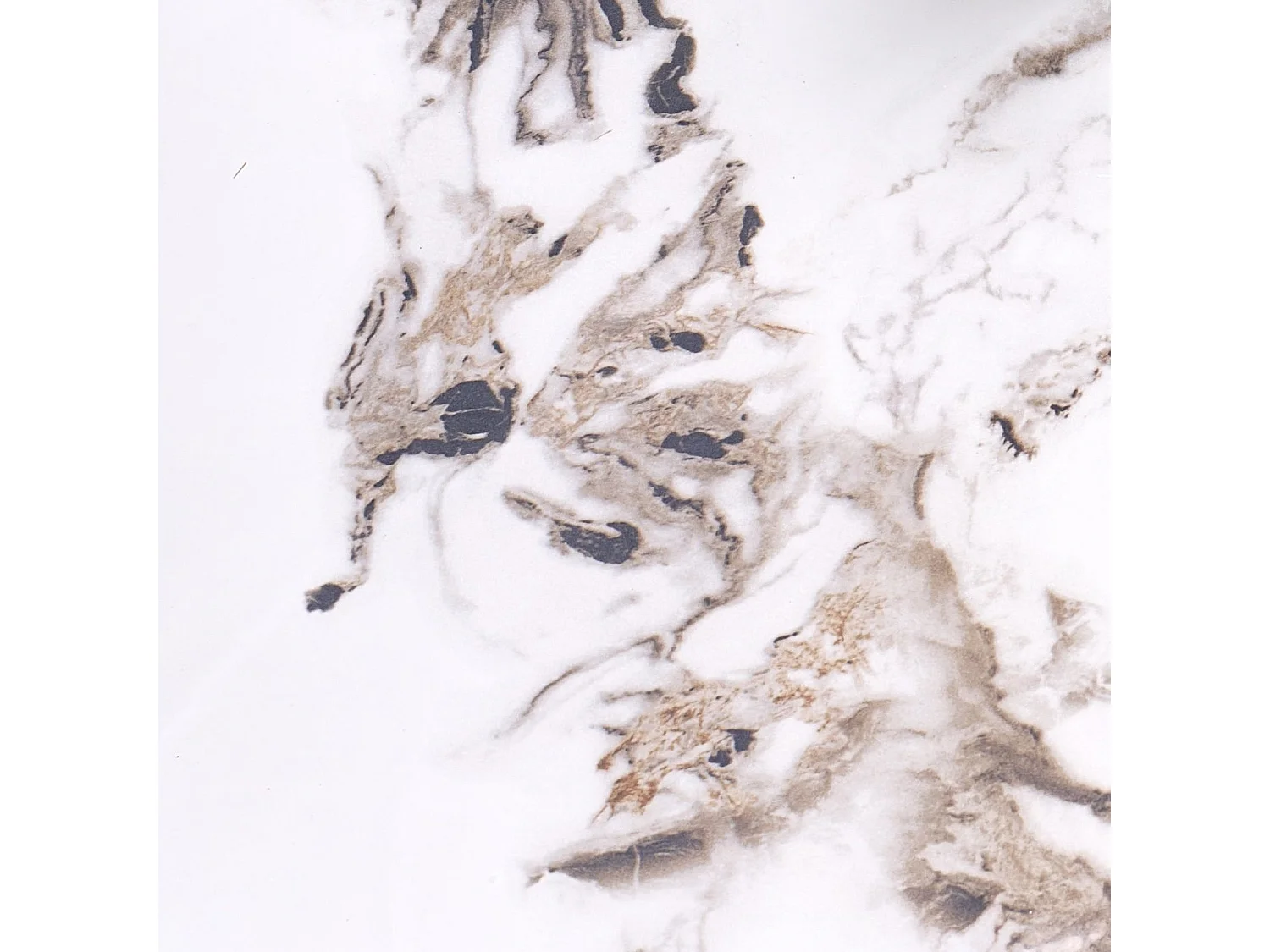 Tavolo da pranzo Garrett (o120x76)/Sinterizzato/Bianco Nero