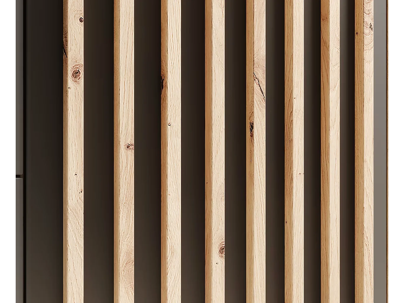 Kleiderschrank Nelia (100cm)/Schwarz&Artisan