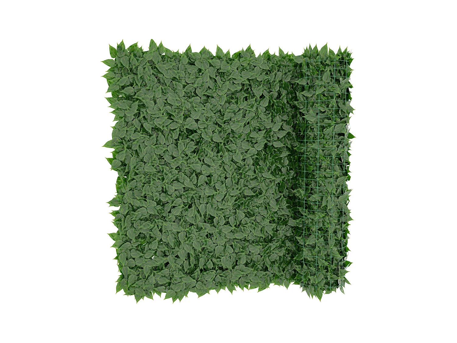 Siepe Finta Artificiale Ultra Coprente Anticaduta Rotolo Rete Frangivista Frangivento Ornamentale Foglia Edera Sintetica Per Ringhiera 1x12 mt