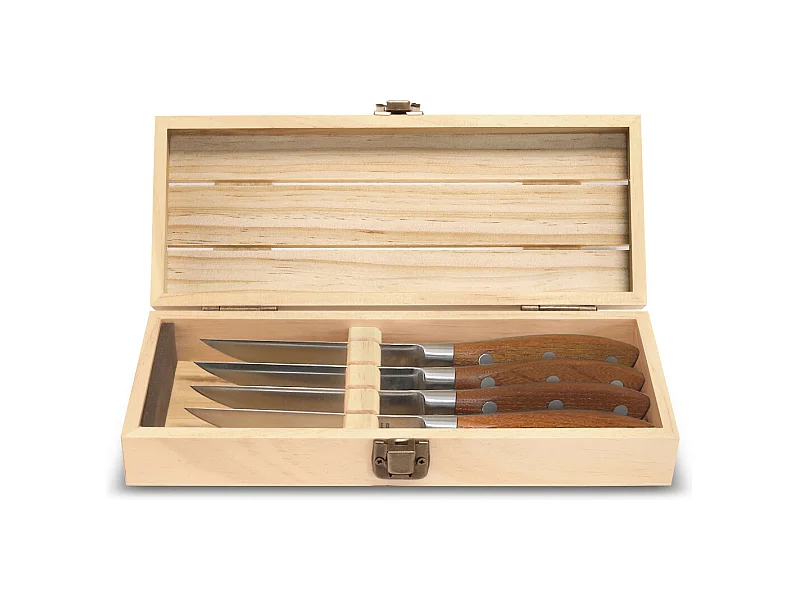 Ryokan - Coffret palette 4 couteaux steak