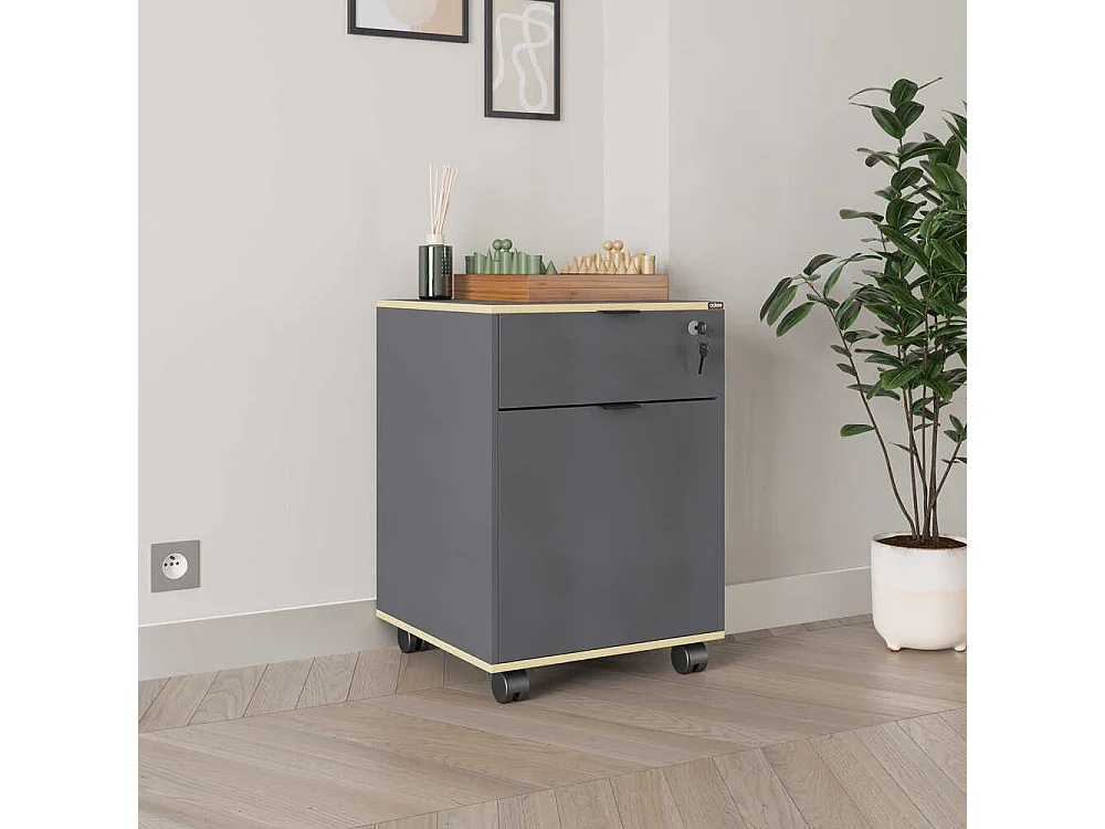 Caisson de rangement sur roulettes Ria