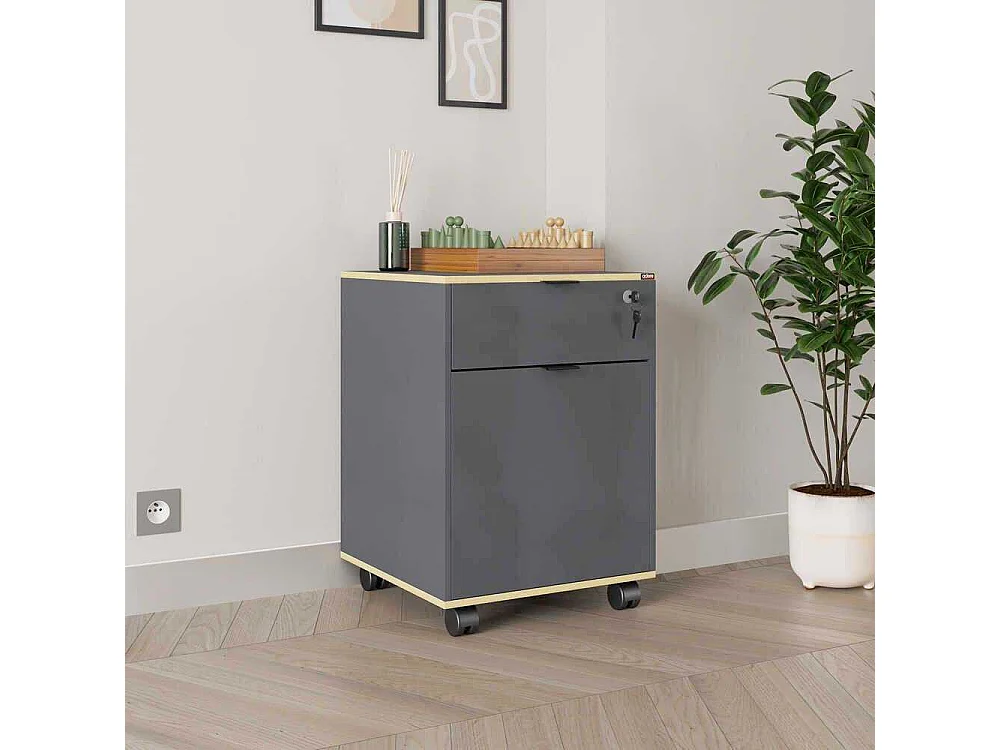 Caisson de rangement sur roulettes Ria