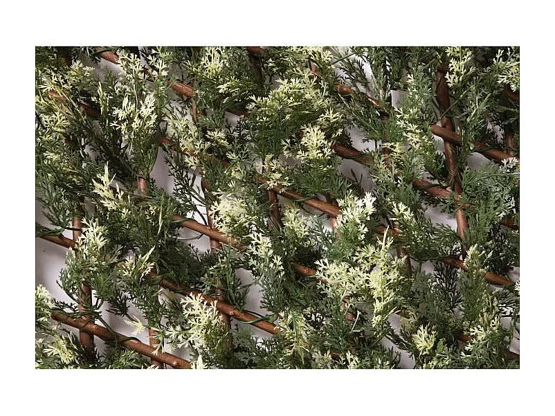 CELOSIA EXTENSIBLE TRELLIWILLOW CIPRES 1X1,5 M NORTENE