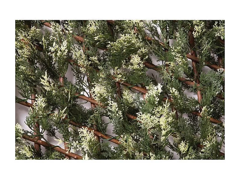 Celosia extensible trelliwillow cipres 1x1,5 m nortene 1X3 M