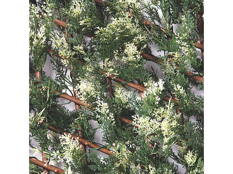 CELOSIA EXTENSIBLE TRELLIWILLOW CIPRES 1X1,5 M NORTENE