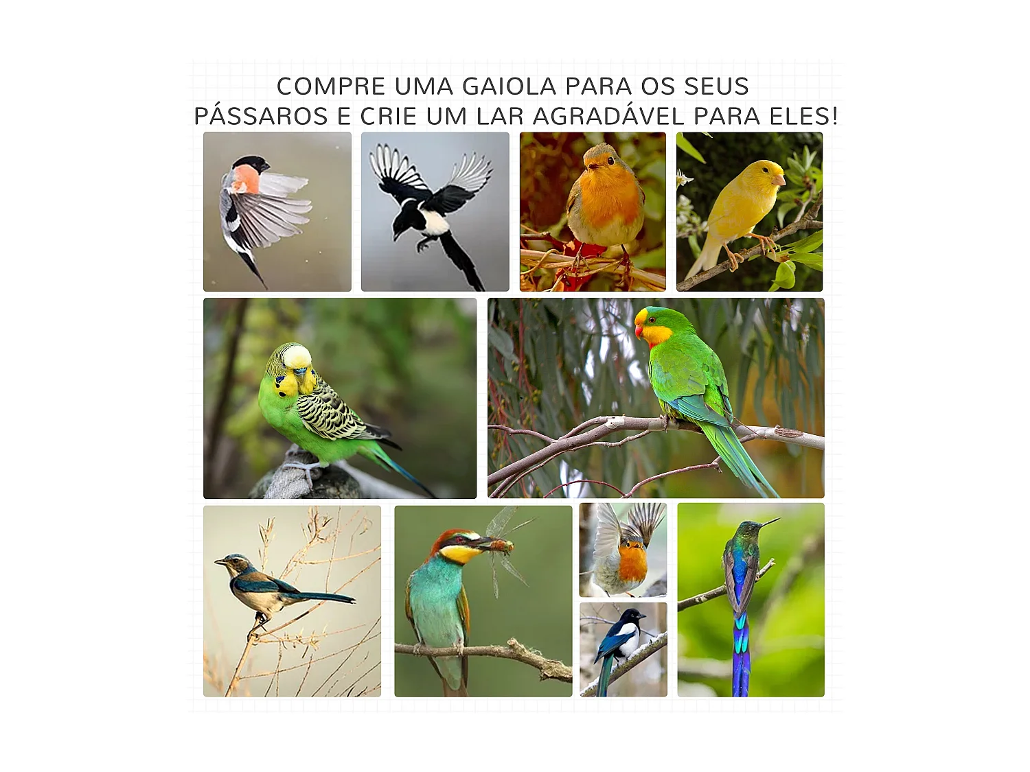 Gaiola para Pássaros PawHut - Conforto e Segurança para Seus Pets