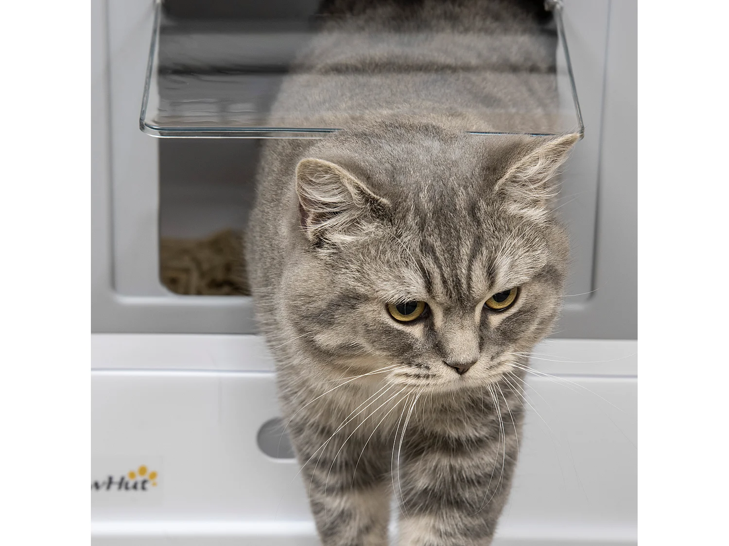 Caja de arena gris 47.5x35.5x36.7 cm PawHut