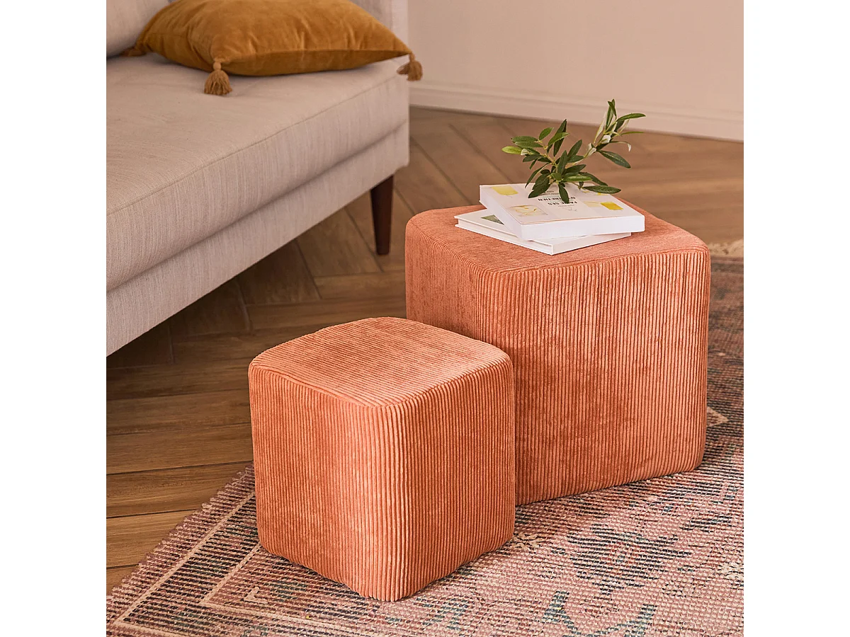 Lot de 2 poufs déco en velours côtelé