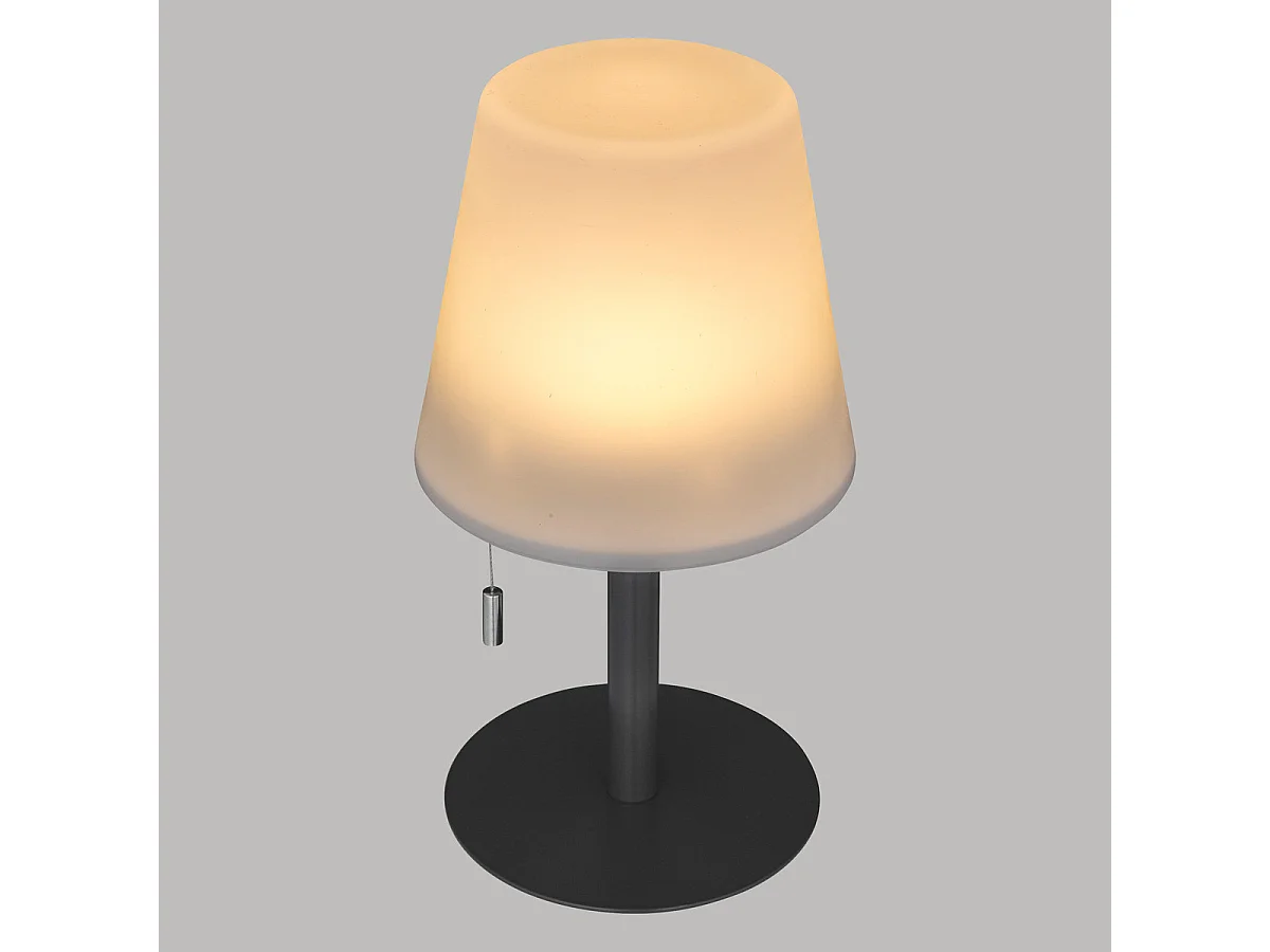 Lampe à Poser d'Extérieur "Zack" 30cm Gris Graphite