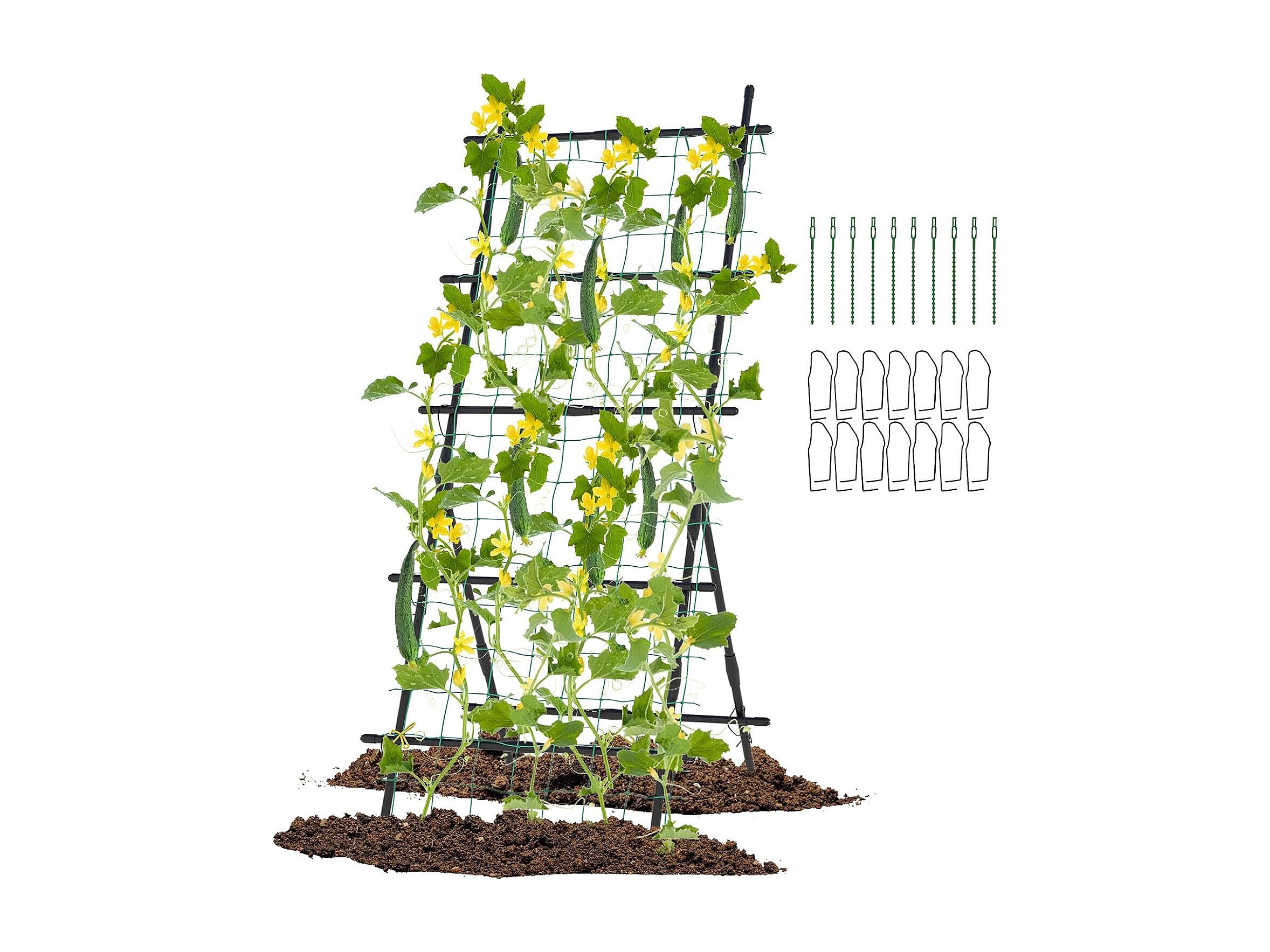 COSTWAY Komkommer Plantensteunset, 187 cm, A-vormig,... COSTWAY Komkommer Plantensteunset, A-vormig, plantenhouder met... COSTWAY Komkommer Plantensteunset, A-vormig, plantenhouder met... COSTWAY Komkommer-klimhulp-set, A-vormig, instelbare breedte