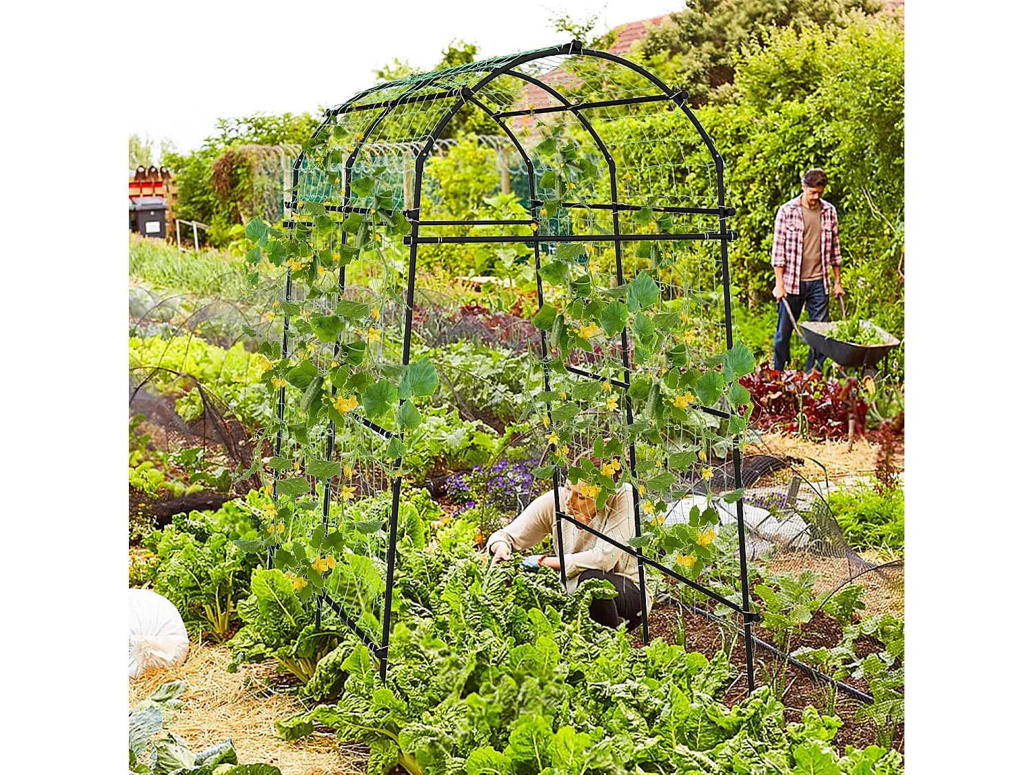 Tuinboog voor klimplanten, 230 cm hoog rankrooster met PE-gecoate metalen structuur, klimhulp, rozenboog, boog voor groenten, fruit, bloemen