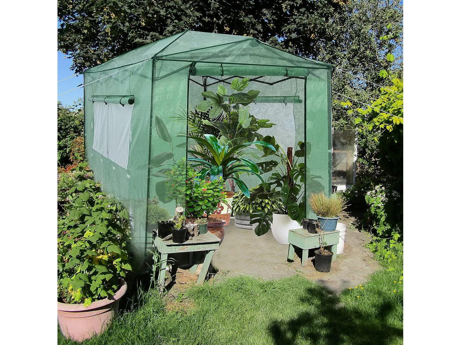 Broeikas foliekas, 180 x 250 x 230 cm, broeikas met oprolbare deur en 2 ramen, tomatenhuis met PE roosterfolie, plantenhuis tomaten, folietent, groenSF5785S