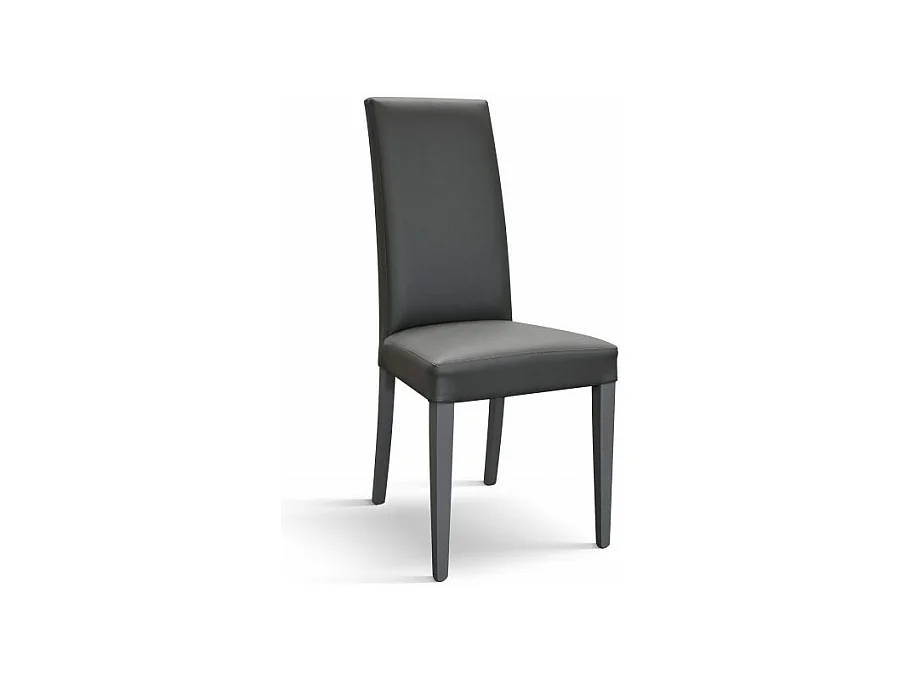 Sedia Andrea set da 2 sedie grigio