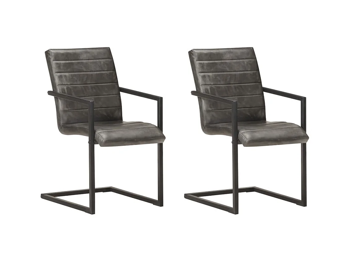 Chaises à manger cantilever lot de 2 gris cuir véritable