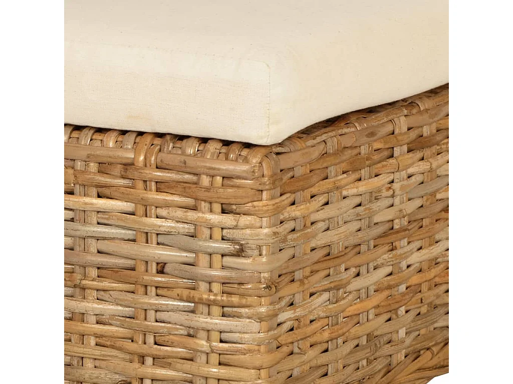 Chaises à manger lot de 2 rotin Kubu bois de manguier