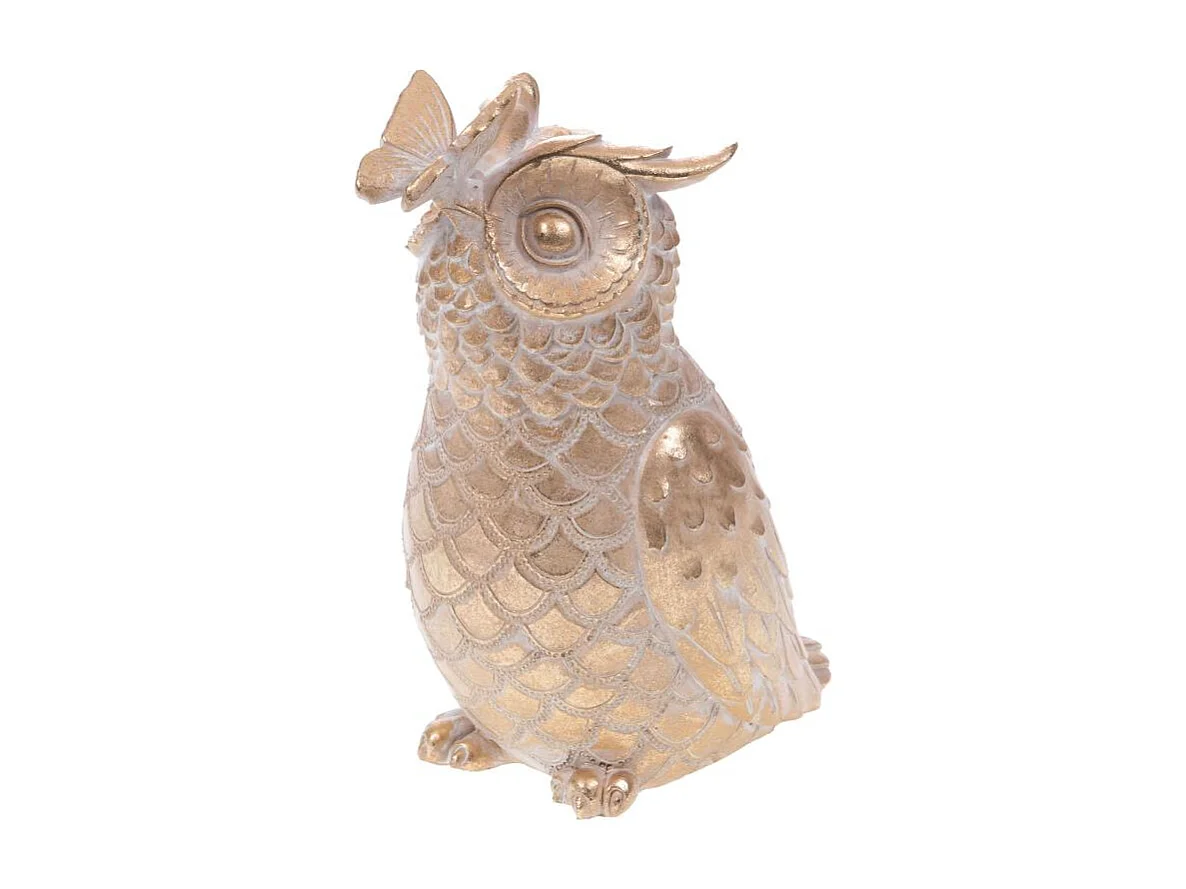 Chouette papillon enchanté