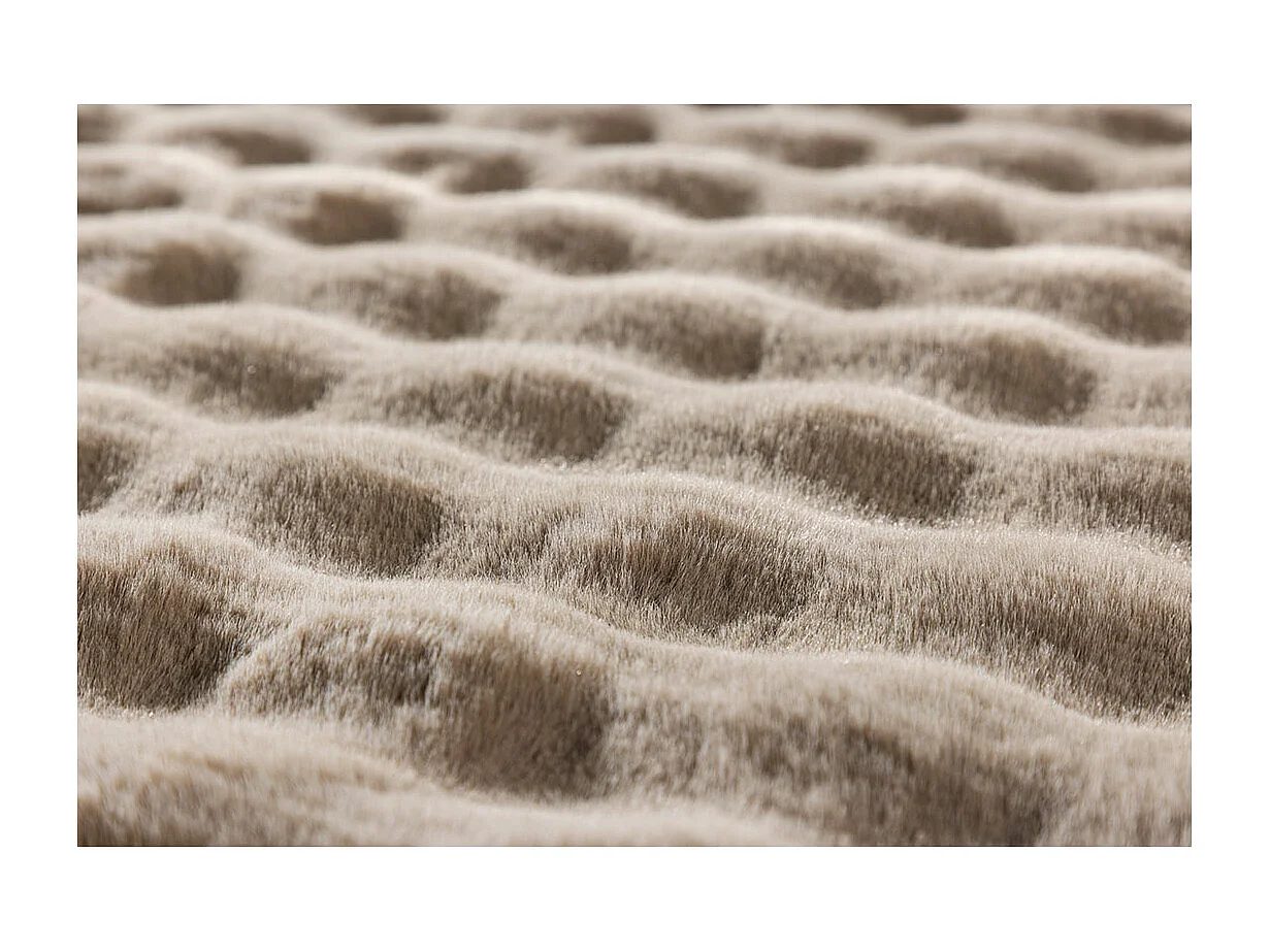 Novis vloerkleed 160x230 cm beige.