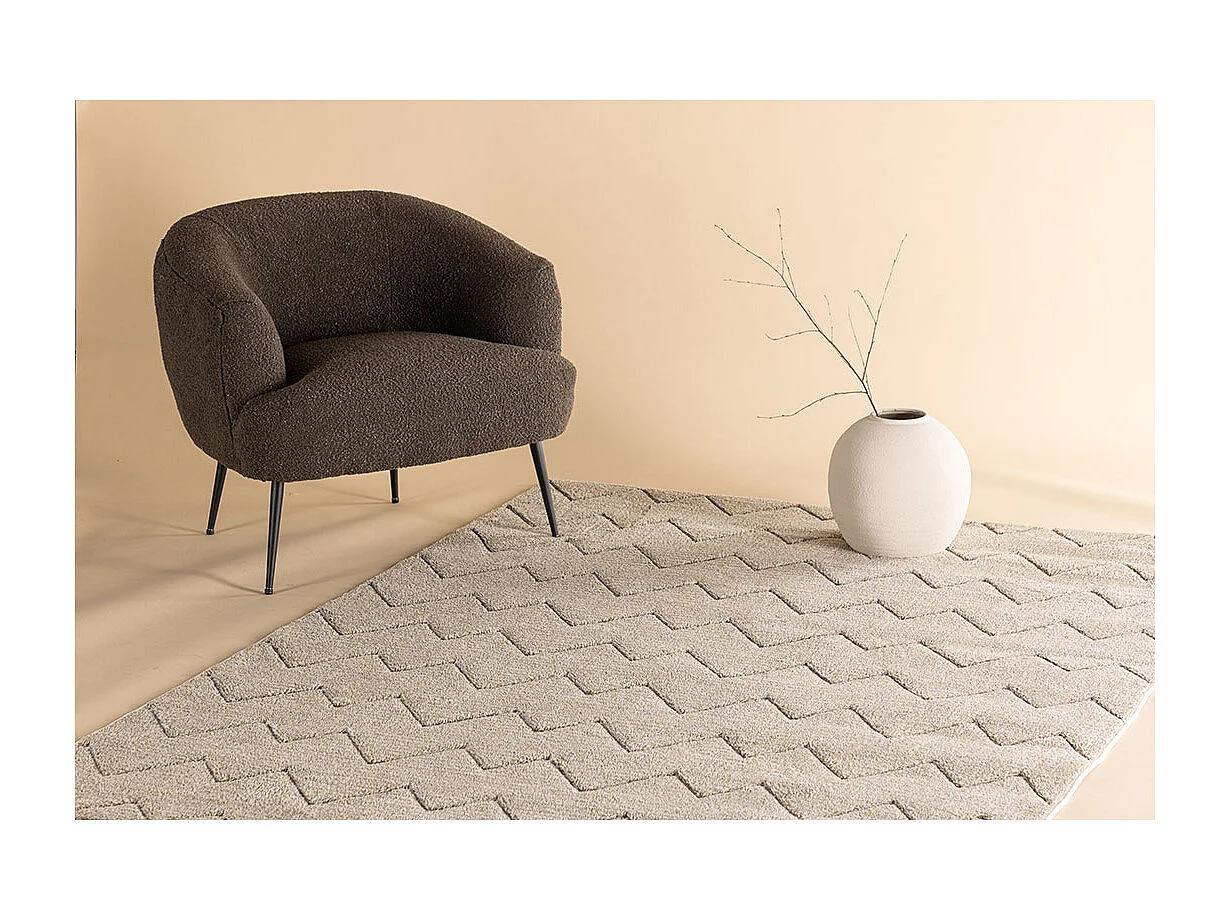 Fia tapis 230x160cm marron.