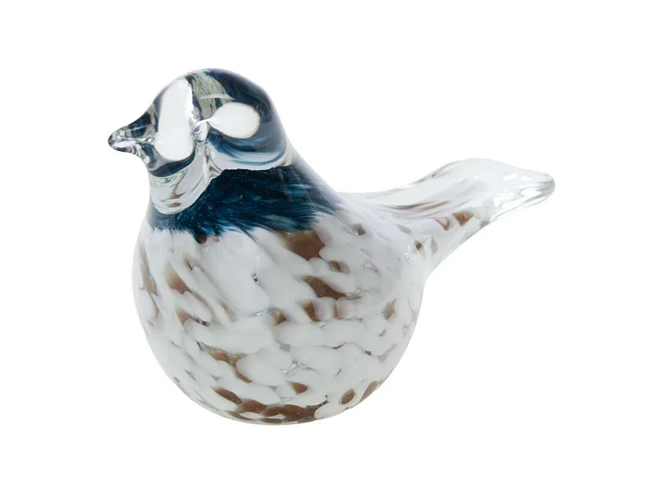 Oiseau Joel sulfure blanc et bleu