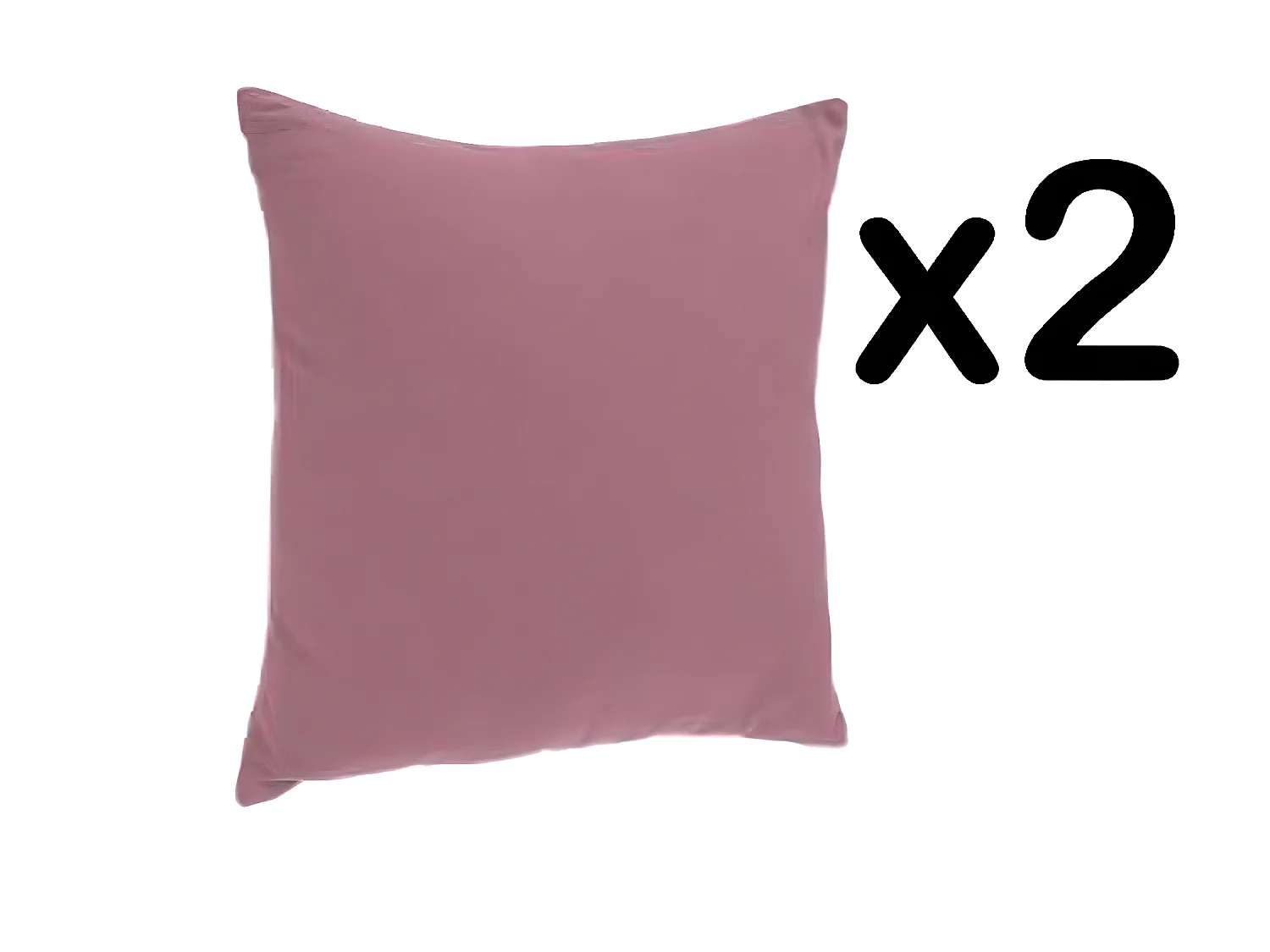 Lot de 2 coussins déhoussables coloris rose, 40 x 40 cm