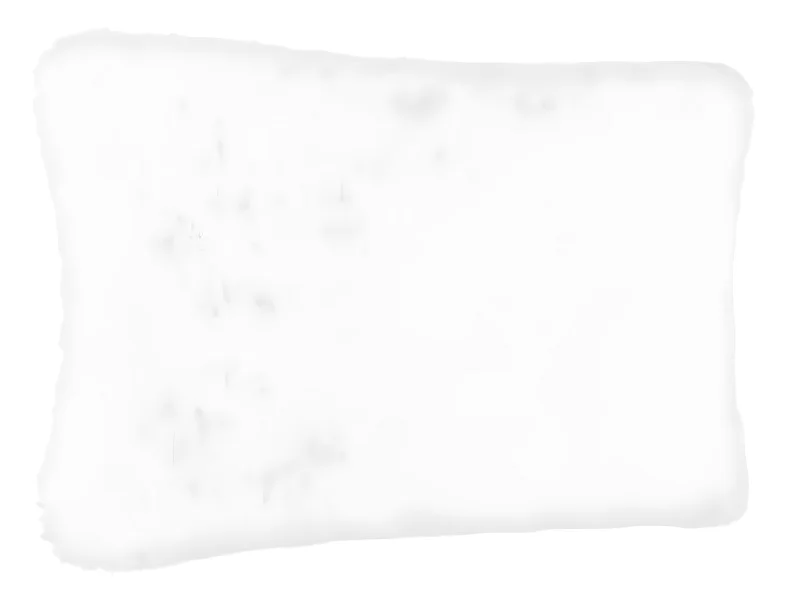 Lot de 2 coussins fourrure coloris blanc 1200 G - 30 x 45 cm