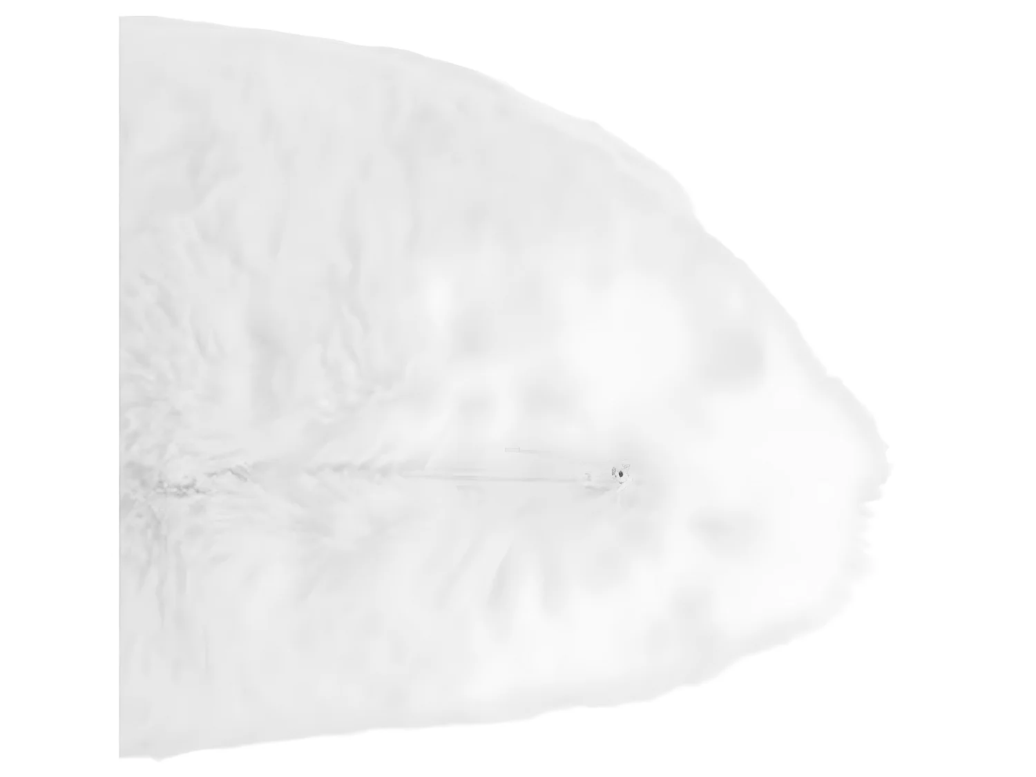 Lot de 2 coussins fourrure coloris blanc 1200 G - 30 x 45 cm