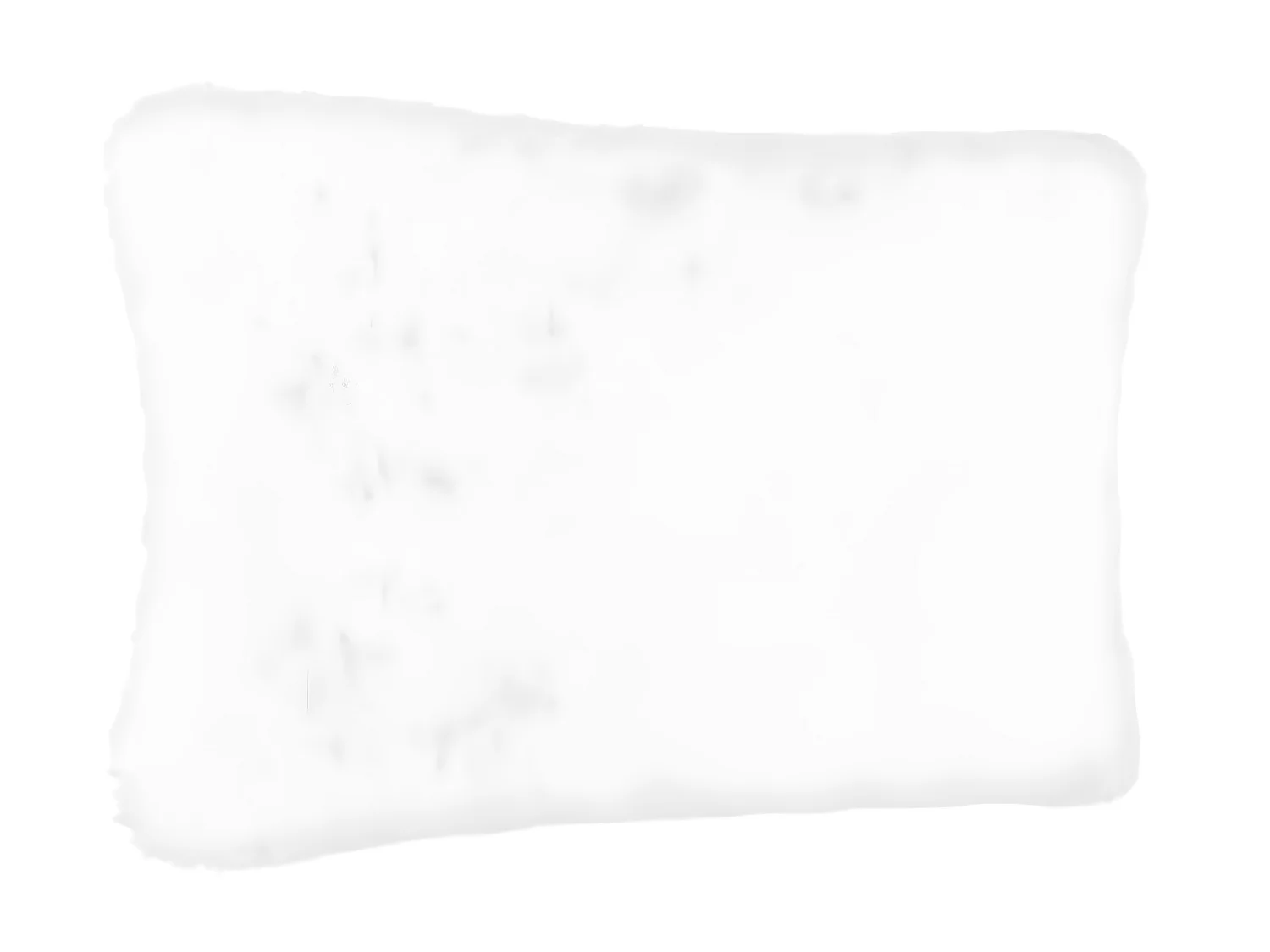 Lot de 2 coussins fourrure coloris blanc 1200 G - 30 x 45 cm
