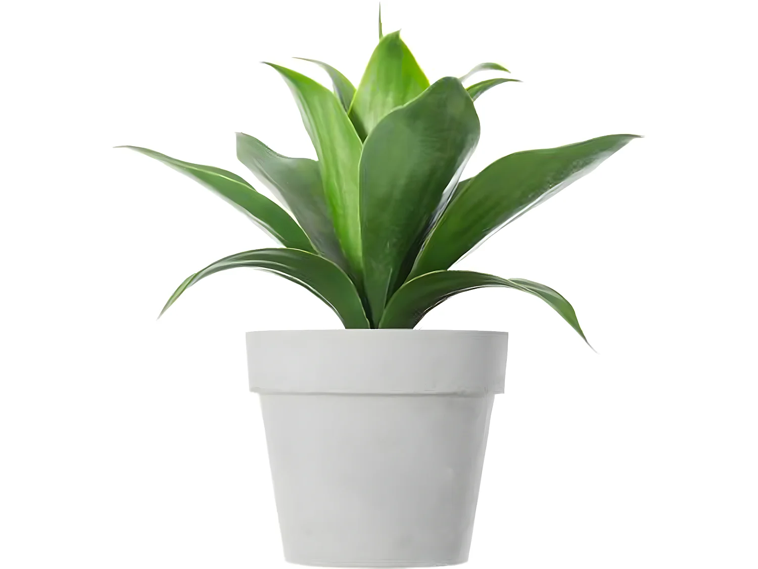 Plante artificielle en ciment et plastique, gris - Dim : L.28 x l.28 x H.34 cm
