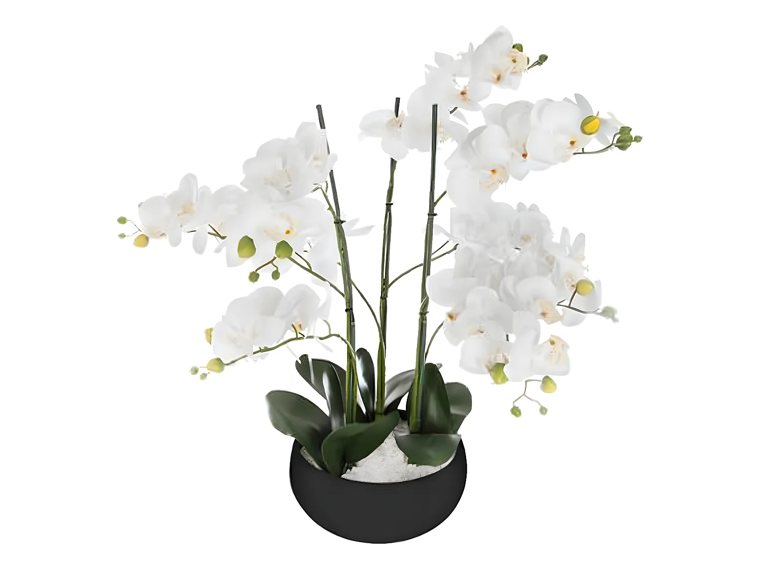 Plante artificielle en ciment, pierre et polyéthylène - Dim : D.25 x H.65 cm