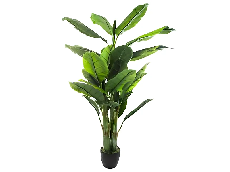 Bananier vert en Polyéthylène - H 170 cm