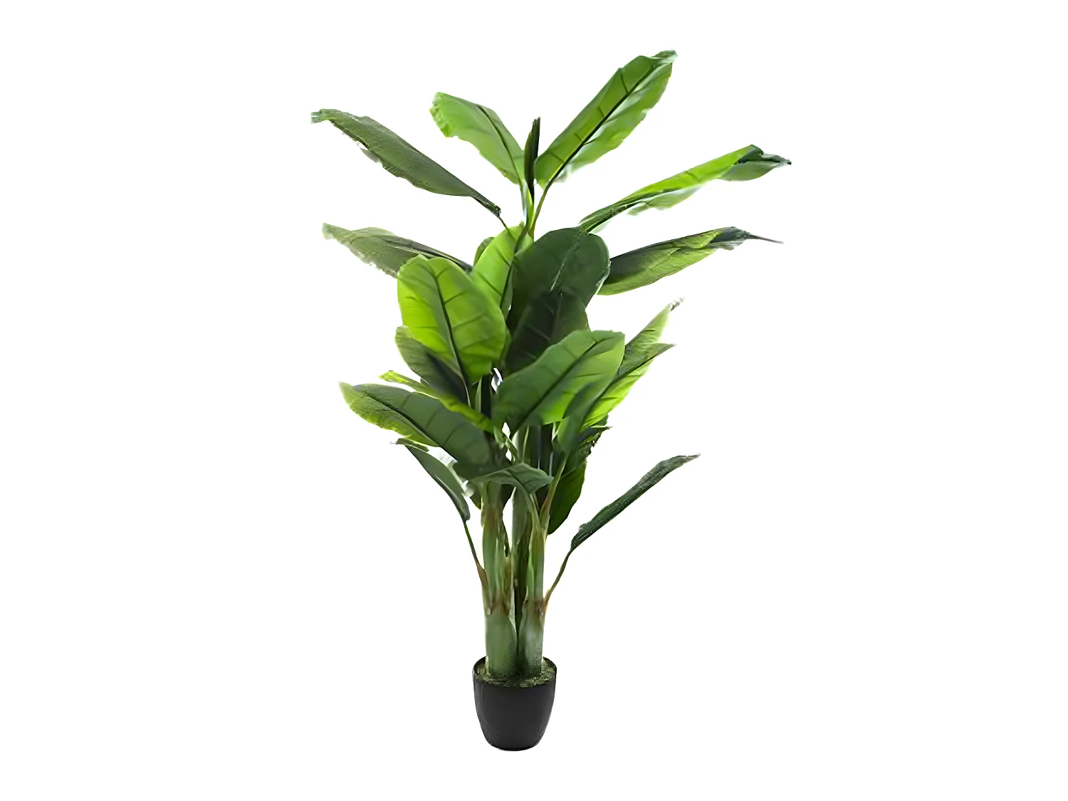 Bananier vert en Polyéthylène - H 170 cm