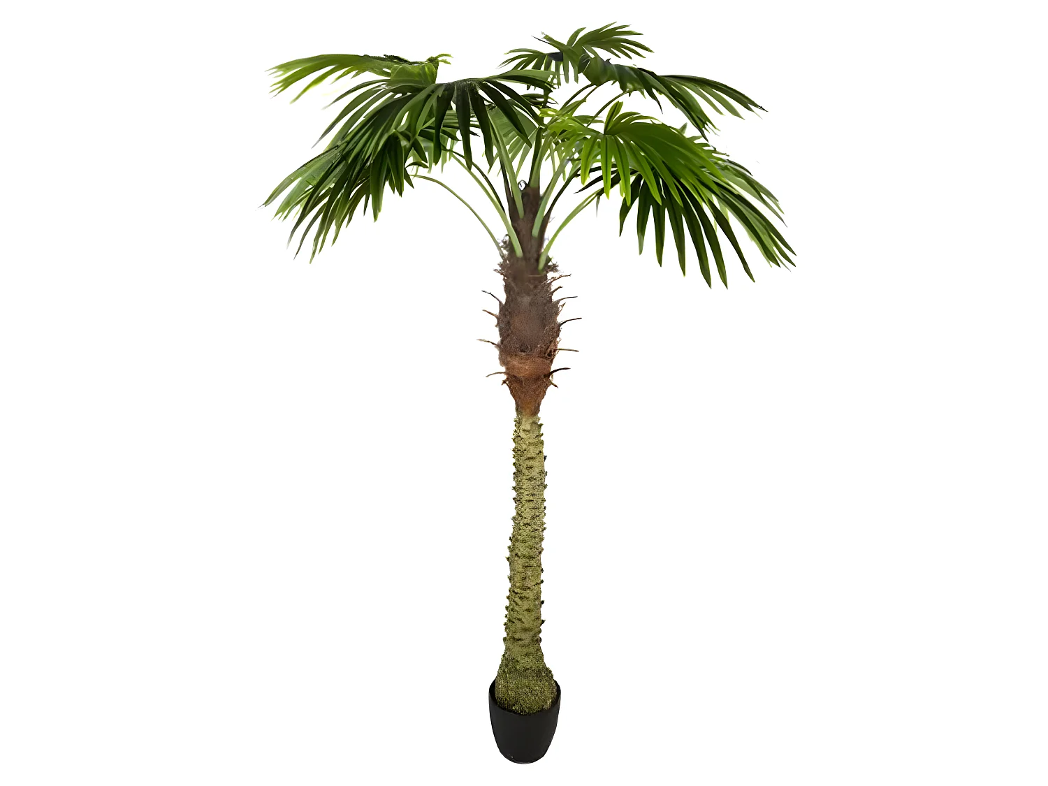 Lot de 2 palmiers artificiels coloris Vert - H180 cm