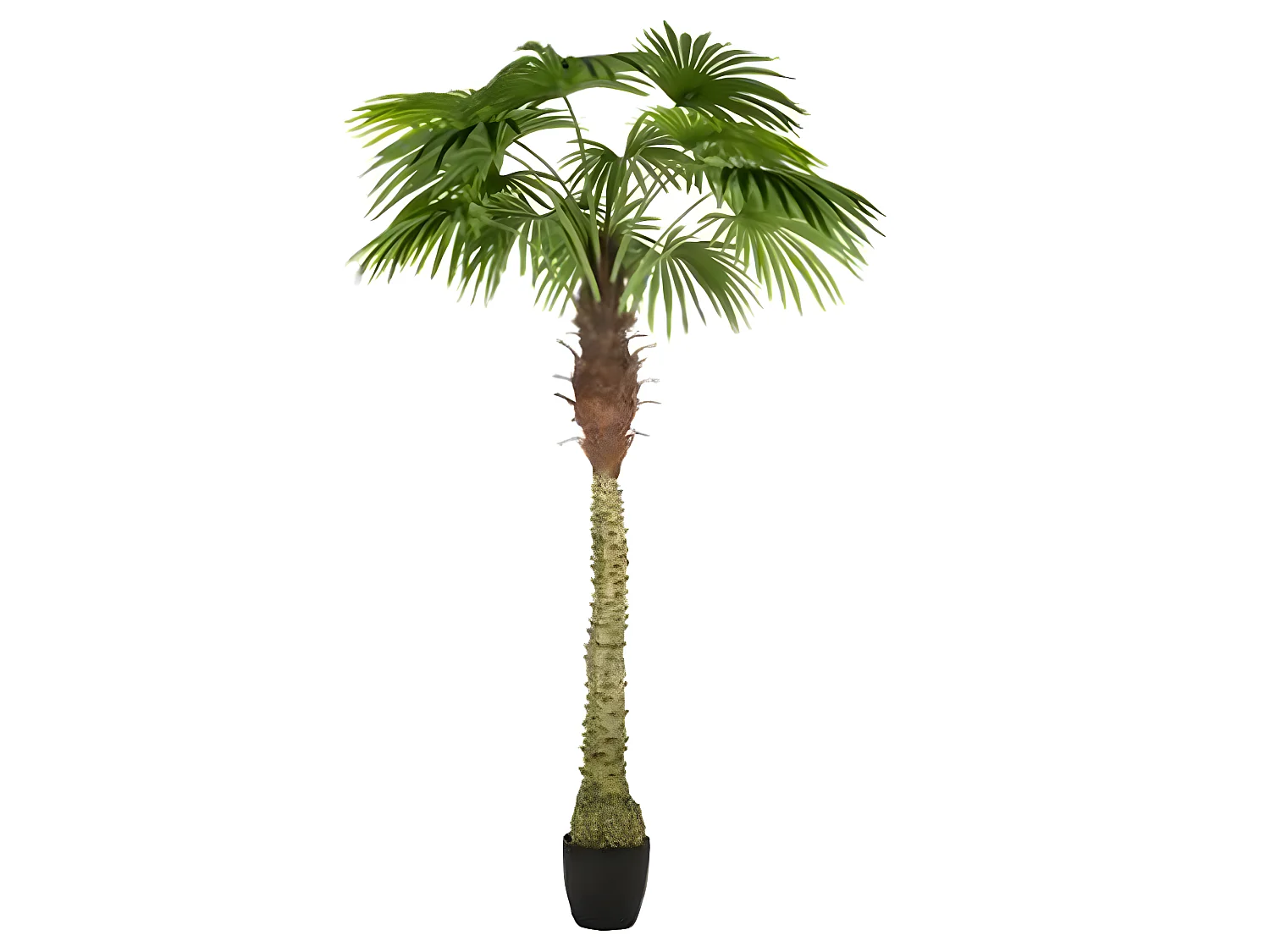Lot de 2 palmiers artificiels coloris Vert - H180 cm