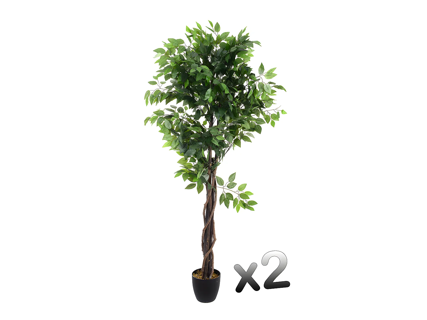 Lot de 2 plantes artificielles Ficus Pot, Hauteur 180 cm
