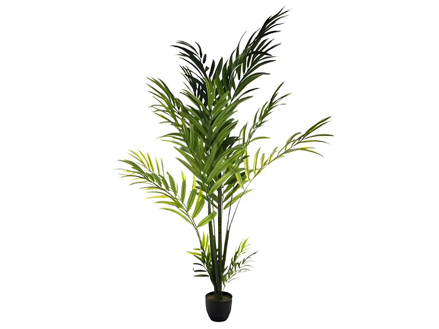 Palmier d'Arec en Polyéthylène - H 230 cm
