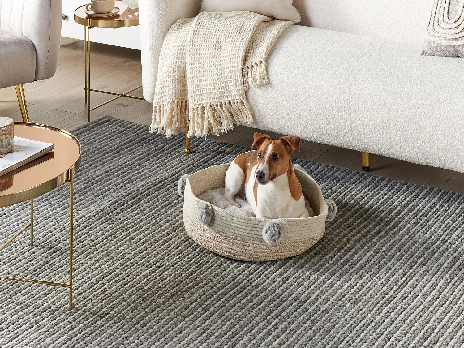 Lit pour animal ORTACA Coton Beige clair