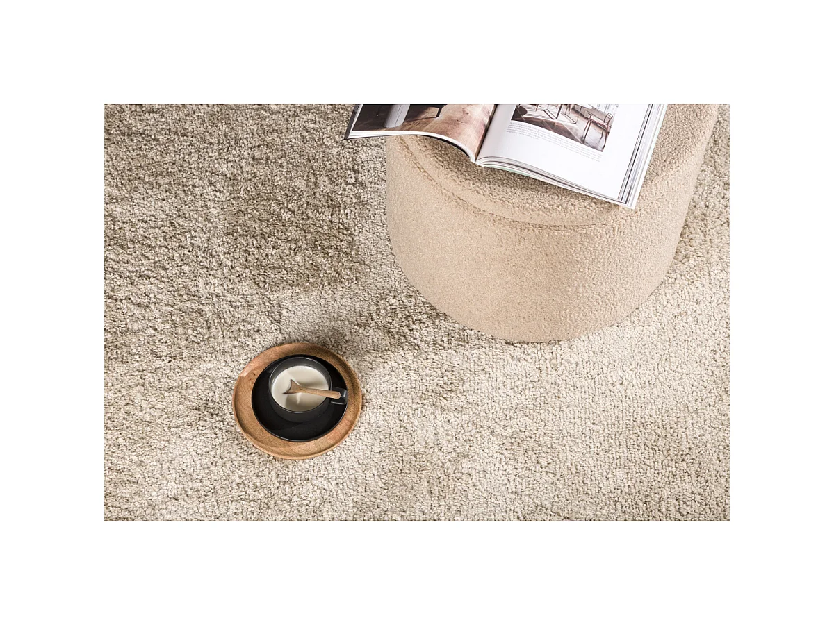 Tapis Déco "Walter" 240x340cm Beige