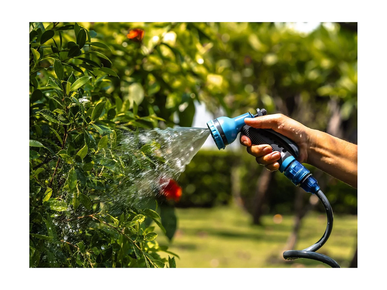 Tubo flessibile da giardino - Suan - Kit completo di accessori - Lunghezza: 10m