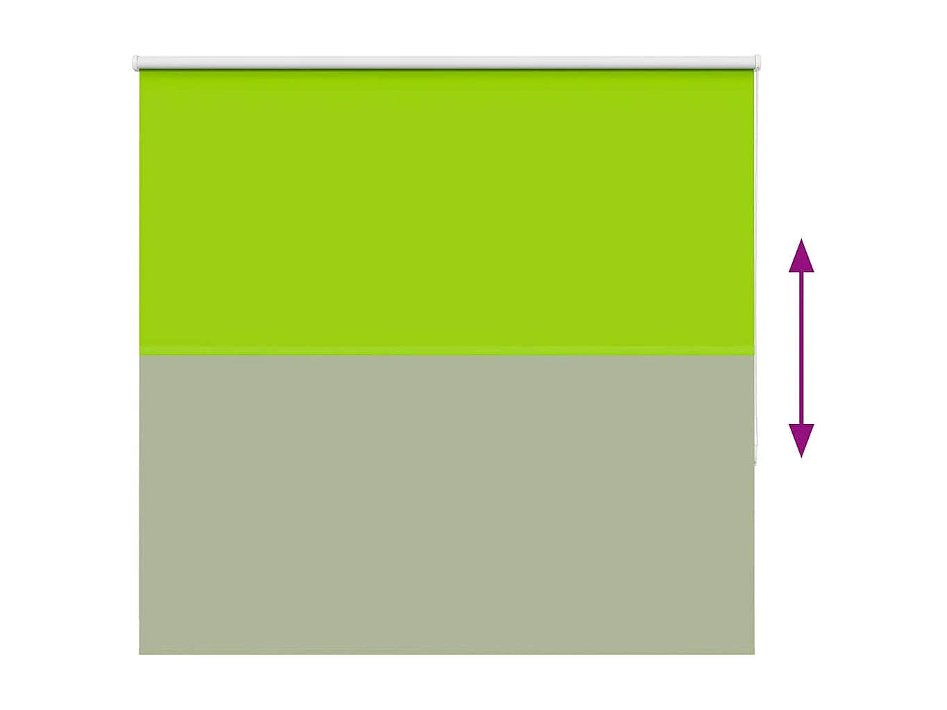 Estor Enrollable Opaco hojas verde 165x150cm Tela Ancho 161,6cm