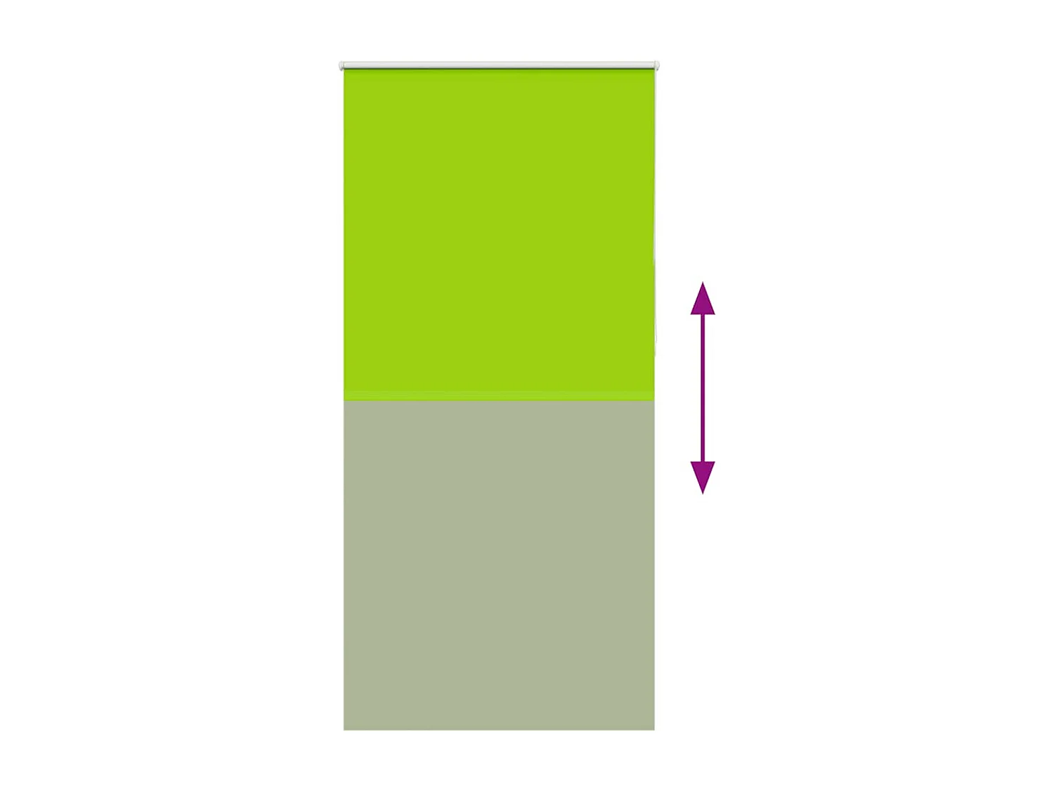 Estor Enrollable Opaco hojas verde 100x230 cm Tela Ancho 95,7cm