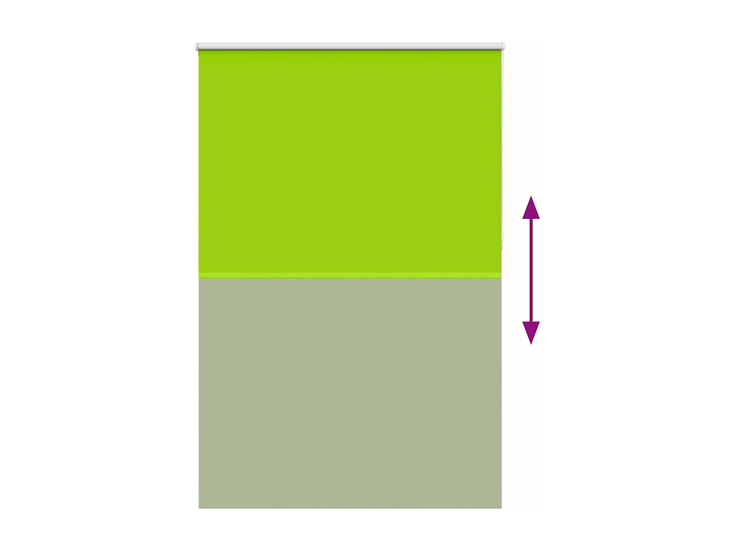 Estor Enrollable Opaco hojas verde 165x210cm Tela Ancho 161,6cm