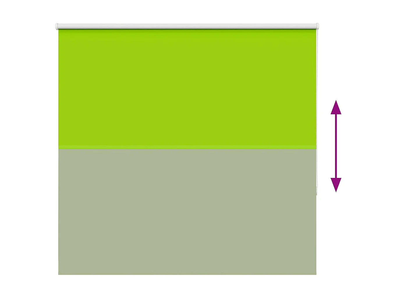 Estor Enrollable Opaco hojas verde 155x130cm Tela Ancho 151,6cm